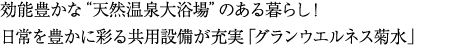 効能豊かな “天然温泉大浴場” のある暮らし！品格漂う邸宅に暮らすように「グランウエルネス円山 桜通り」