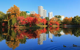 中島公園