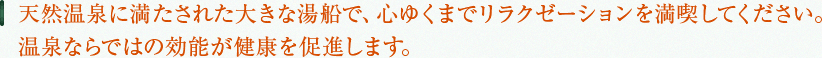 癒しの時間に包まれる天然温泉にある暮らし。住むことで心も身体も健康になれる。