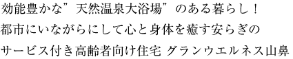 効能豊かな天然温泉大浴場のある暮らし！都市にいにあがらにして心と身体を癒す安らぎのサービス付き高齢者向け住宅 グランウエルネス山鼻